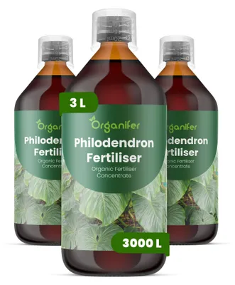 Produktbild von Philodendren Flüssigdünger 3x1L – 3-4-3 NPK – Flüssig-Pflanzendünger für Philodendren – Organifer