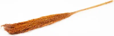 Produktbild von INNA-Glas Schilf getrocknet DONJETA, Terracotta, 115-120cm, Ø15cm - Getrockneter Bund
