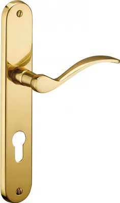 Image de Ensemble de poignées pour porte d'entrée Marianne trou de cylindre, carré 7mm, entr'axes 195mm, laiton poli - THIRARD