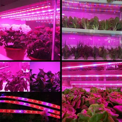 Obrázok produktu pre LED rastlina rastie svetelný reťazec 5050 SMD vodotesný pre skleník