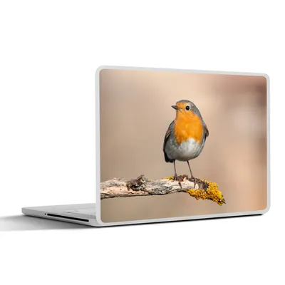 Produktbild von MuchoWow® Laptop Aufkleber Sticker Cover Rotkehlchen - Vogel - Zweig - Tiere 36.5x27.5 cm - Laptop-Sticker