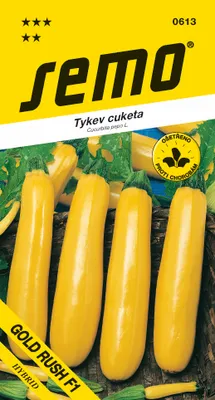 Produktbild von Samen - ZUCCHINI 'ORELIA F1'