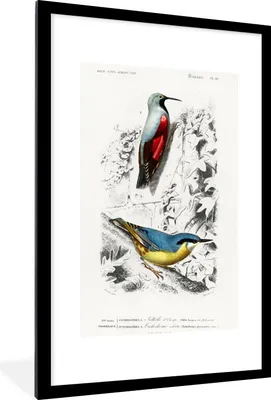 Produktbild von MuchoWow® MuchoWow® Gerahmtes Poster Vogel - Vintage - Zweig 60x90 cm - Poster mit zchwarzem Bilderrahmen - Dekoration - Wandposter Wohnzimmer - Hochwertig