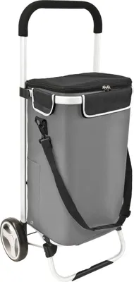 Image de bremermann Chariot d'achat BRINKUM - capacité 45 L, chariot à main, chariot de courses avec sac amovible, gris