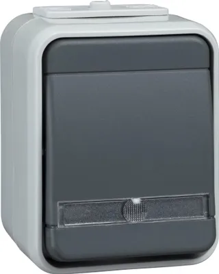 Produktbild von Schneider Electric Taster ELG442619 bel. 10A licht/basaltgrau