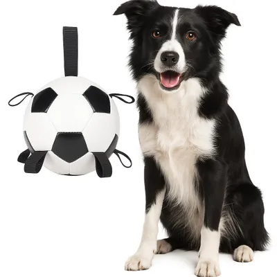 Produktbild von Flamingo Towa – Schwimmfähiger Fußball für Hunde – Weiß/Schwarz – Ø 19 cm – Mit Griffen – Robustes Wasserspielzeug für interaktives Spielen