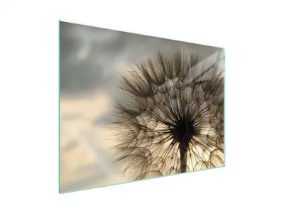 Produktbild von Glasschutzplatte Für Herd 70X52 Blume