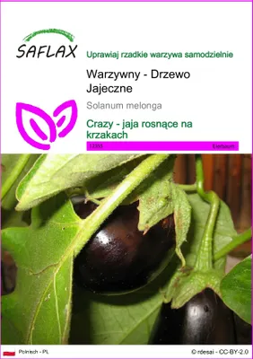 Zdjęcie produktu dla SAFLAX - Warzywny - Drzewo Jajeczne - 20 Nasiona - Solanum melonga