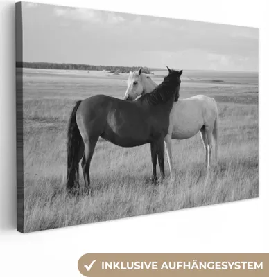 Produktbild von MuchoWow® - Leinwandbilder - Pferde - Tiere - Porträt - Schwarz-Weiß - Landleben, Wandbild, Wanddeko Bilder Wohnzimmer, 60x40cm