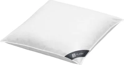 Produktbild von Spessarttraum Kissen Platin, 80x80cm, Füllung: 60 % Gänsedaunen / 40 % Gänsefedern, Bezug: 100 % Baumwolle