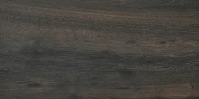 Produktbild von Terrassenplatte Feinsteinzeug Strobus 45 x 90 x 2 cm ebony