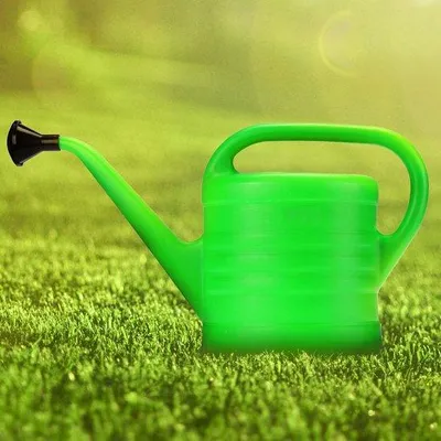 Productafbeelding van Unyqoos® Plastic gieter, 2,5 liter – set van 2 met ergonomische handgreep, afneembare sproeikop, lichtgewicht, geschikt voor binnen- en buitengebruik
