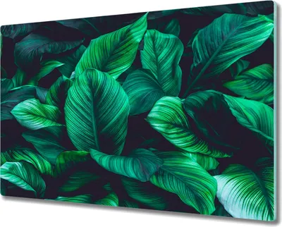 Produktbild von Coloray Schneidebrett Herdabdeckplatte 80x52 cm Kochplattenabdeckung Hackbrett Küchenbrett - Blume Pflanze Blätter