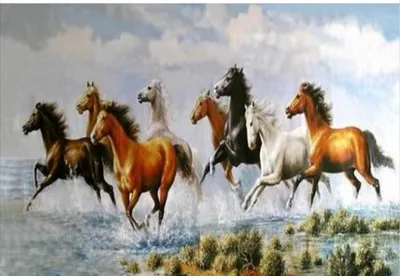 Image de Mosaïque diamant Norimpex - Chevaux 1009034