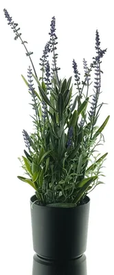 Produktbild von GASPER Lavendel Blauviolett im Kunststofftopf 43 cm - Kunstblumen