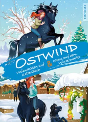 Image de Erstleser Doppelband - Weihnachten mit Ostwind