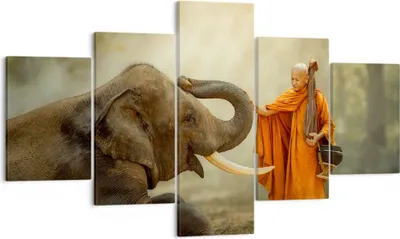 Produktbild von Bild auf Leinwand - Leinwandbild - Elefant Mönch Stoßzahn - 125x70cm - Wand Bild - Wanddeko - Leinwanddruck - Bilder - Kunstdruck - Wanddekoration - Leinwand bilder - Wandkunst - EA125x70-3484