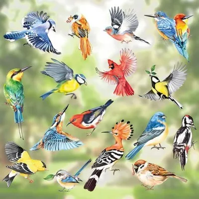 Produktbild von 17 Stücke Fensterbilder Frühling Vögel Fensteraufkleber Bunt Vögel Kolibri Sommer Fenster Abziehbilder Vogelschutz Anti-Kollision Fensterfolie Fenstersticker Glas Fensterdeko Aufkleber