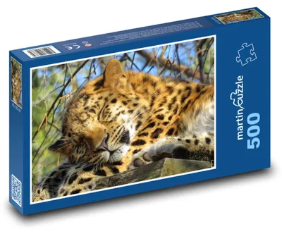 Obrázek produktu pro Puzzle 500 Odpočívající leopard na stromě - martinpuzzle