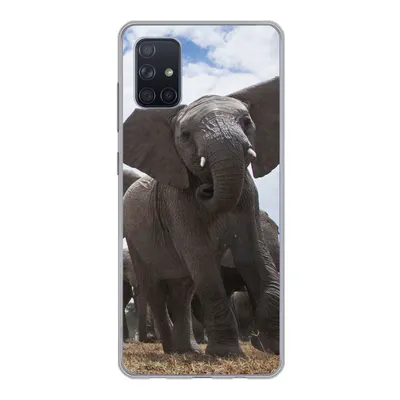Produktbild von MuchoWow® Handyhülle Schutzhülle Hülle für Samsung Galaxy A71 Elefant - Tiere - Natur - Flachland Silikon Softcase Handy Hülle - Kartenbesitzer