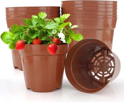 Obrázek produktu pro Kweekpotten Ø 12 cm - Sada 10 kulatých květináčů pro rostliny, sazenice a řízky