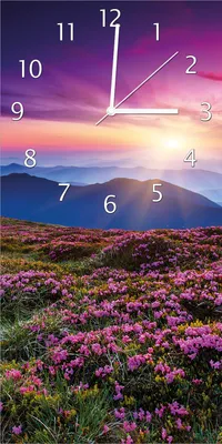 Produktbild von Wallario Design Wanduhr bedruckt, Größe 30 x 60 cm, Motiv: Blumenbedeckte Wiese bei Sonnenuntergang