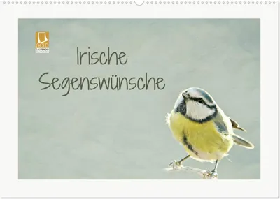 Produktbild von Irische Segenswünsche (Wandkalender 2025 DIN A2 quer), CALVENDO Monatskalender