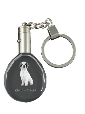 Produktbild von Clumber Spaniel - Anhänger mit einem Foto eines Hundes, Schlüsselanhänger aus Kristall in einer Geschenkbox, ein einzigartiges Geschenk von Art-Dog