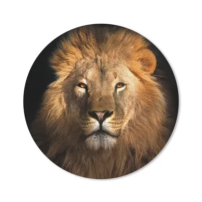 Produktbild von MuchoWow® Mauspad Mousepad Löwe - Tiere - Schwarz - Hell - Braun - Porträt 20x20 cm - Mousepads - Maus Mat - Pad - Mausunterlage - Schreibtischmatte