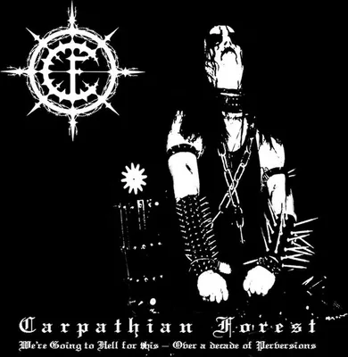 Image de Karpatenwald - On irait en enfer pour ce vinyle