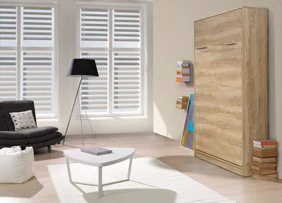 A modern living room with a wall bed, sofa, coffee table, and floor lamp.