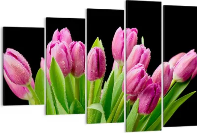 Produktbild von Bild auf Leinwand - Leinwandbild - Tulpen Blumenstrauß Tau Tropfen - 150x100cm - Wand Bild - Wanddeko - Leinwanddruck - Bilder - Kunstdruck - Leinwand bilder - Wandkunst - EG150x100-2486