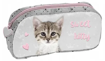 Image de Trousse scolaire 1 compartiment Paso PP23KC-004 chat
