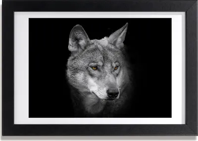 Produktbild von Bild 30x20 MDF-Rahmen, Wandkunst Wolf