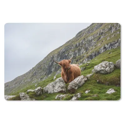 Produktbild von MuchoWow® Schreibtischunterlage Tiere - Schottische Highlander - Schottland 60x40 cm - XXL Mauspad - Großes Mauspad
