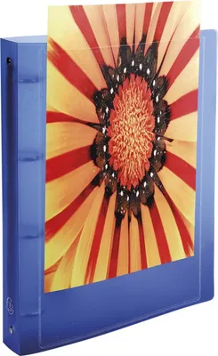 Produktbild von Exacompta Ringbuch Krea Cover DIN A4 Farben sortiert