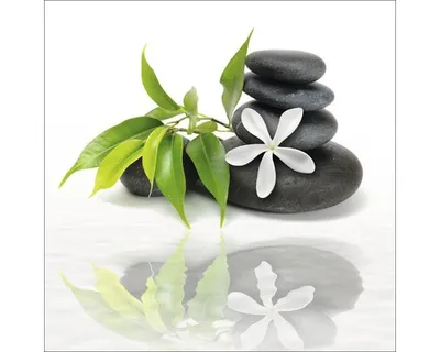 Produktbild von Glasbild Essence Of Life II 30x30 cm