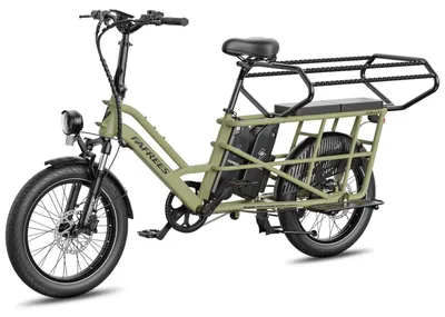 Immagine prodotto di Seggiolino doppio FAFREES FF20 CUV e-bici 30AH, 0-12 anni portata 100kg telaio acciaio antiruggine-verde