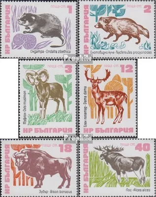 Produktbild von Briefmarken Bulgarien 1973 Mi 2248-2253 (kompl.Ausg.) postfrisch Tiere