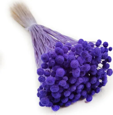 Produktbild von Botao Amarelino - (Amarelinho) - Tief Lavendel