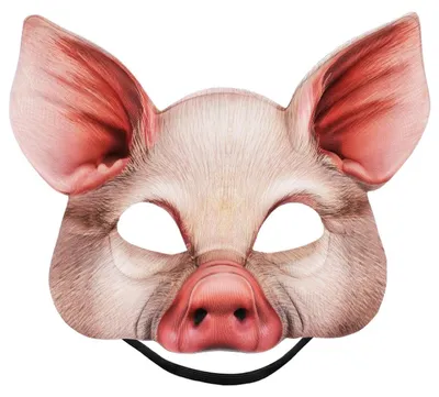 Image de Masque de cochon réaliste pour Halloween et cosplay