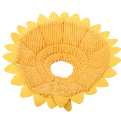 Produktbild von Modisches Genesungshalsband für Haustiere, für Welpen, Hunde, Katzen, medizinische Wundheilung, Sicherheitsschutz (22–24 cm)