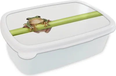 Produktbild von KitchenYeah® Lunchbox Brotzeit Brotdose 17x11 cm Frosch - Bambus - Weiß Kinder Brotzeitdose - Lunch Box - Kinder - Sandwich-Box - Schulbox - Lunch Boxen