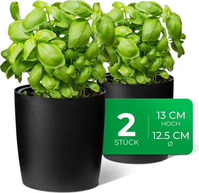 Produktbild von Novaliv Stilvolle 2er Set Kräutertopf aus Kunststoff Schwarz für jede Fensterbank, frische Küchenkräuter, Kräutergarten für die küche, Kräuterbeet indoor, Zimmerpflanzen, Pflanzentopf, Pflanzschale