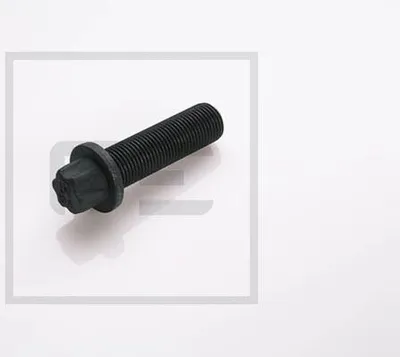 Immagine prodotto di Bullone Uomo M16X1,5X55