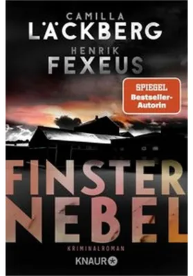 Image de Finsternebel