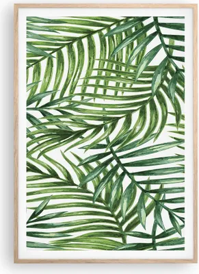 Produktbild von Gerahmtes Poster - Rahmen in heller Eiche - Palme Blatt grün - 70x100 cm - Wand Bild - Wanddeko - Wandbilder - Wandposter - Bilderrahmen - Bilder - Kunstdruck - Wandbild - P2NPA70x100-3777