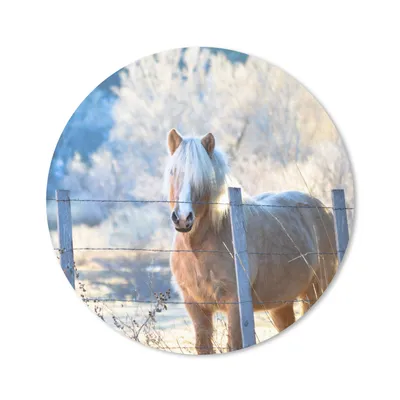Produktbild von MuchoWow® Mauspad Mousepad Pferd - Winter - Schnee 30x30 cm - Mousepads - Maus Mat - Pad - Mausunterlage - Tischunterlage - Schreibtischmatten