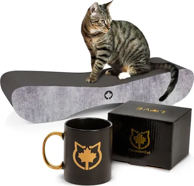 Produktbild von Special-Bundle · BLACK EDITION · Kratzbrett Satellite 2.0 betonoptik + Limitierte Tasse LOVE