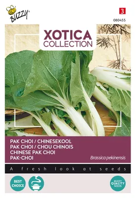 Produktbild von Buzzy Xotica Pak-Choi Samen - Ca. 2 gr | Buzzy_080455